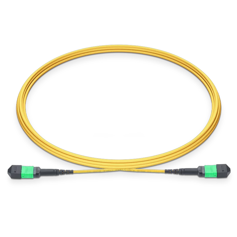 400G MPO Female to Female 8 Fibers Type S2MPOA8FB
