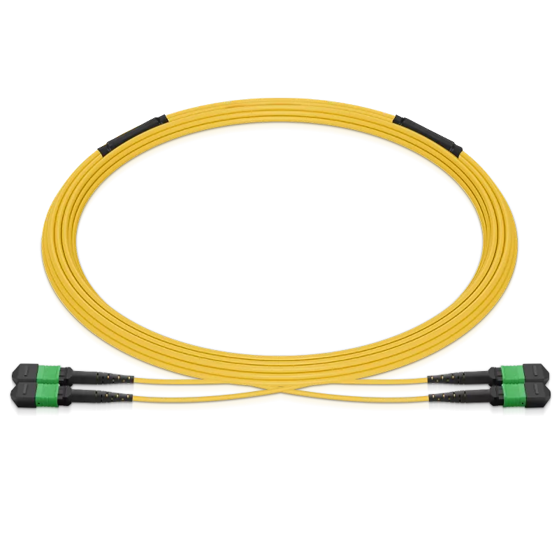 MPO Male to MPO Male 2x8F to 2x8F Type S2MPOA16M2