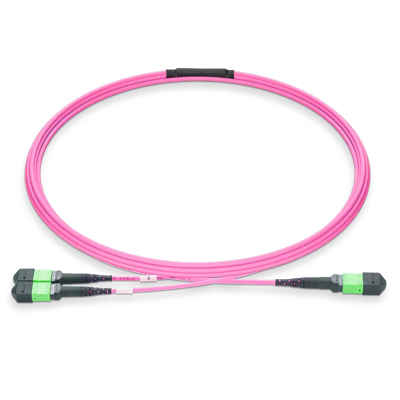 MPO Female to Female 16F to 2x8F Type M4MPOAA2x8F