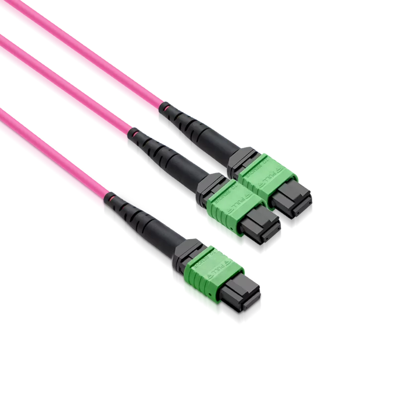 5m OM4 MPO-16 to 2x MPO-8 APC LSZH Breakout Fiber Cable for AI and storage clusters. view 3