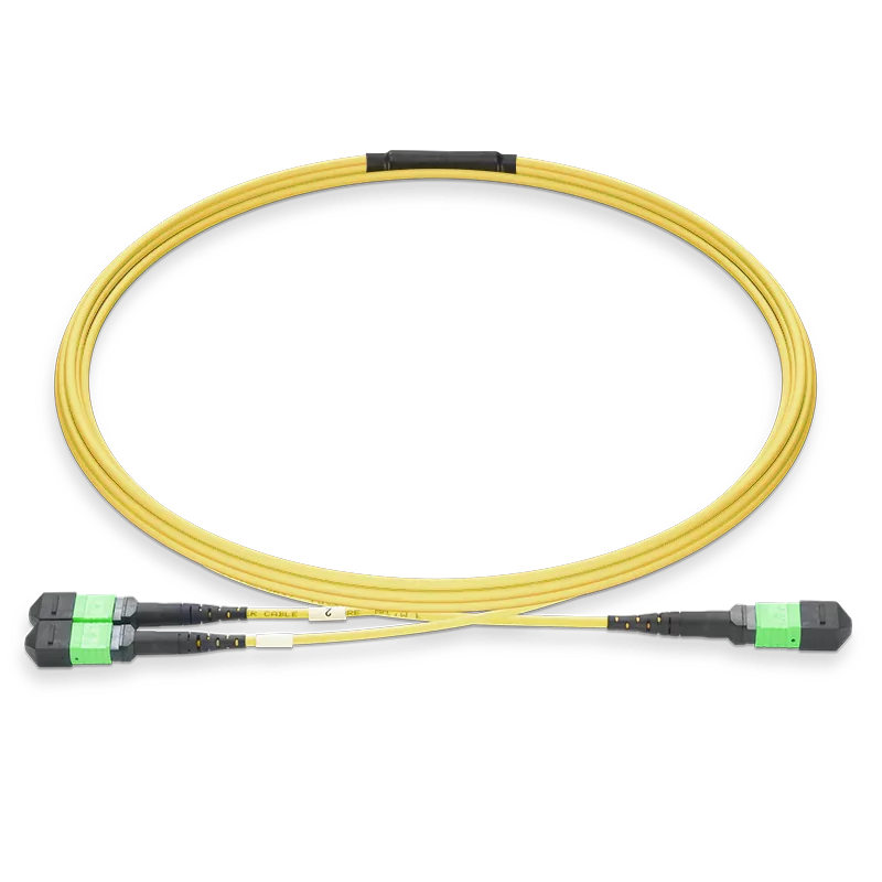 MPO Female to Female 16F to 2x8F Type S2MPOA2x8F