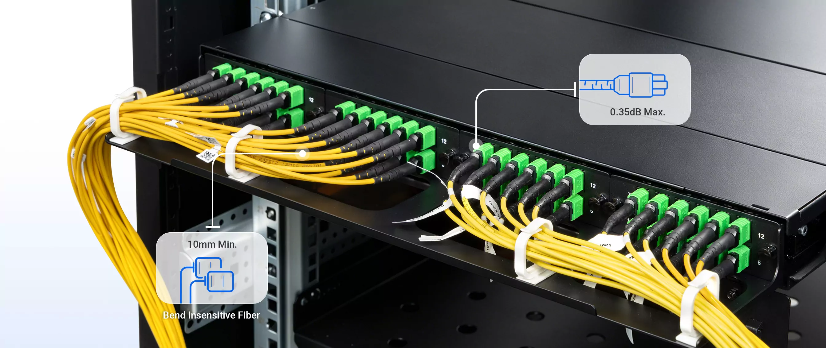 MFP7E30-N025 25m (82ft) MPO to MPO Female 12 Fibers Type B Trunk Cable detail