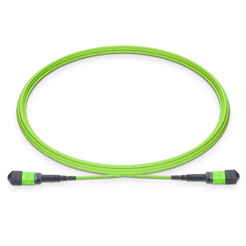 MPO Female to Female 12F Type B Fiber M5MPOU12FB