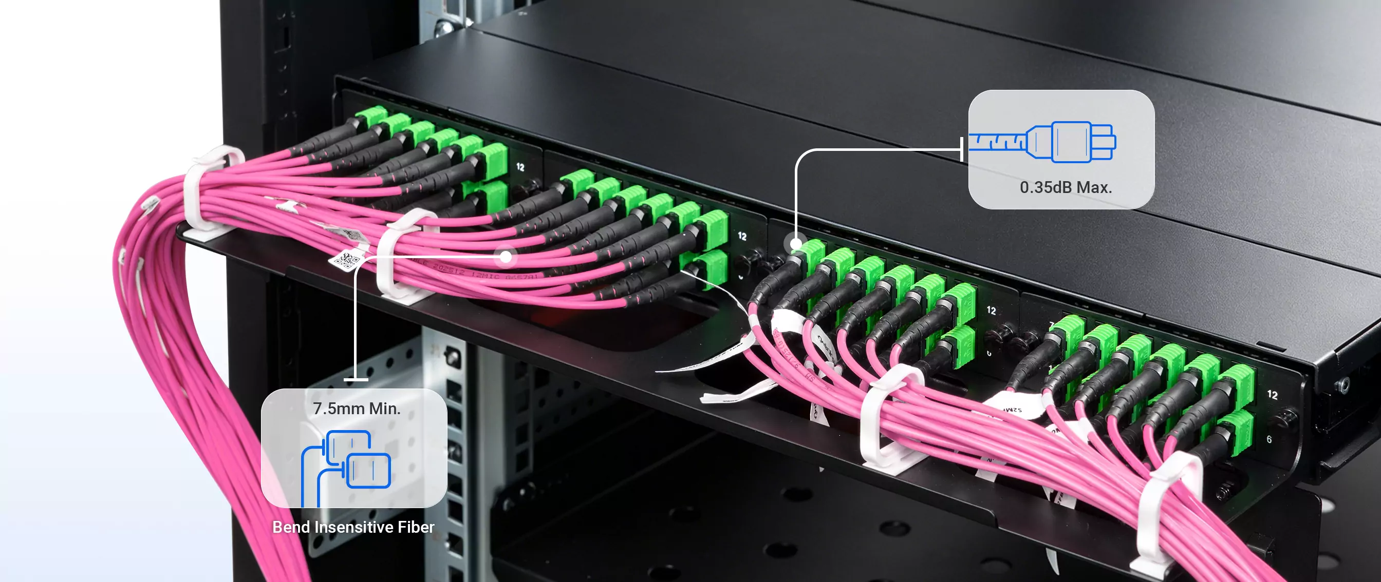 40m (131ft) MPO-12 UPC (Female) to MPO-12 UPC (Female) Magenta OM4 12 Fibers Type B LSZH Multimode Trunk Cable 3mm detail