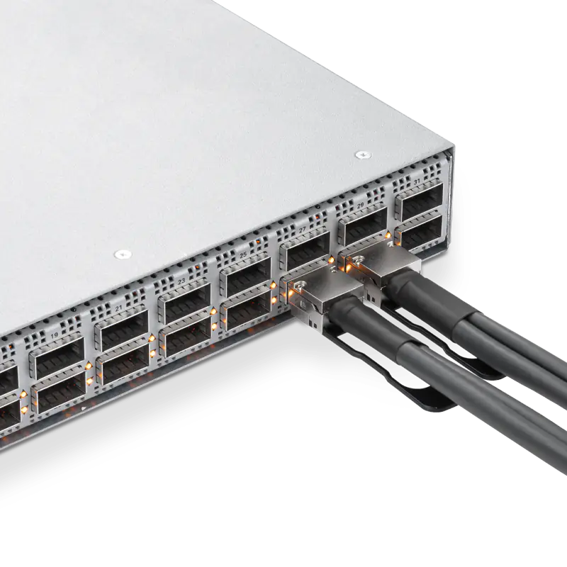 NVIDIA/Mellanox Coding Target MCP1660-W001E30 Passive DAC Cable view 3