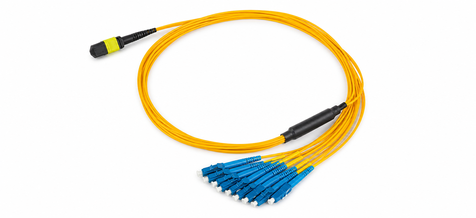 Cloud Switch Upgrade